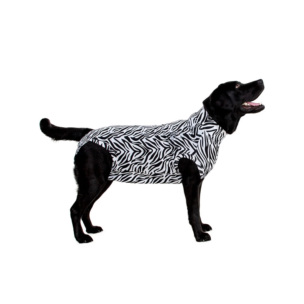 Medical Pet Shirt Hond Zebra Print - Afbeelding 6