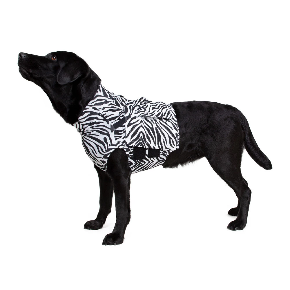Medical Pet Top Shirt - Zebraprint - Afbeelding 3