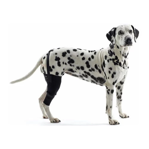 Kruuse Rehab Kniebeschermer - Afbeelding 18