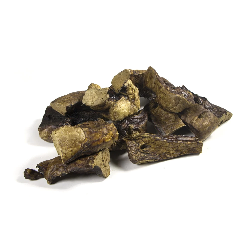 Competition Paardenlongen - Afbeelding 3