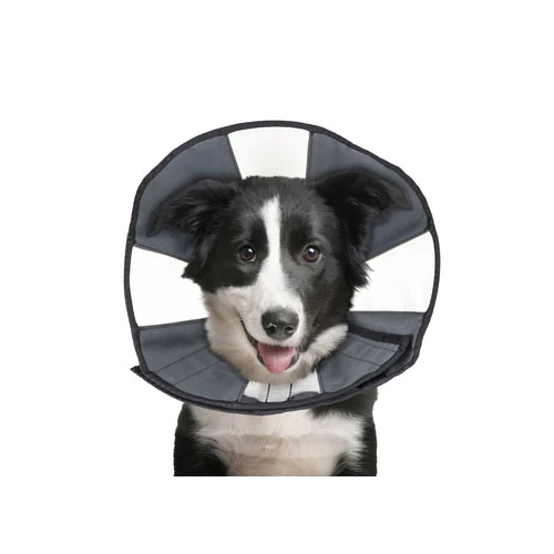 ZenPet Zen Collar - Afbeelding 10