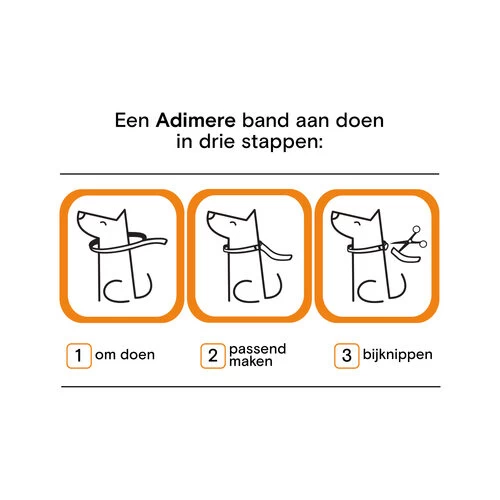 Adimere - Vlooienband - Afbeelding 6