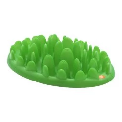 Company Of Animals Green Slow Dog Feeder