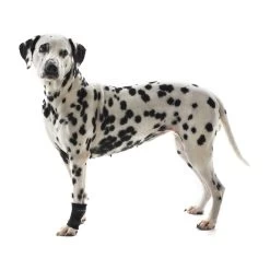 Kruuse Rehab Polsbeschermer