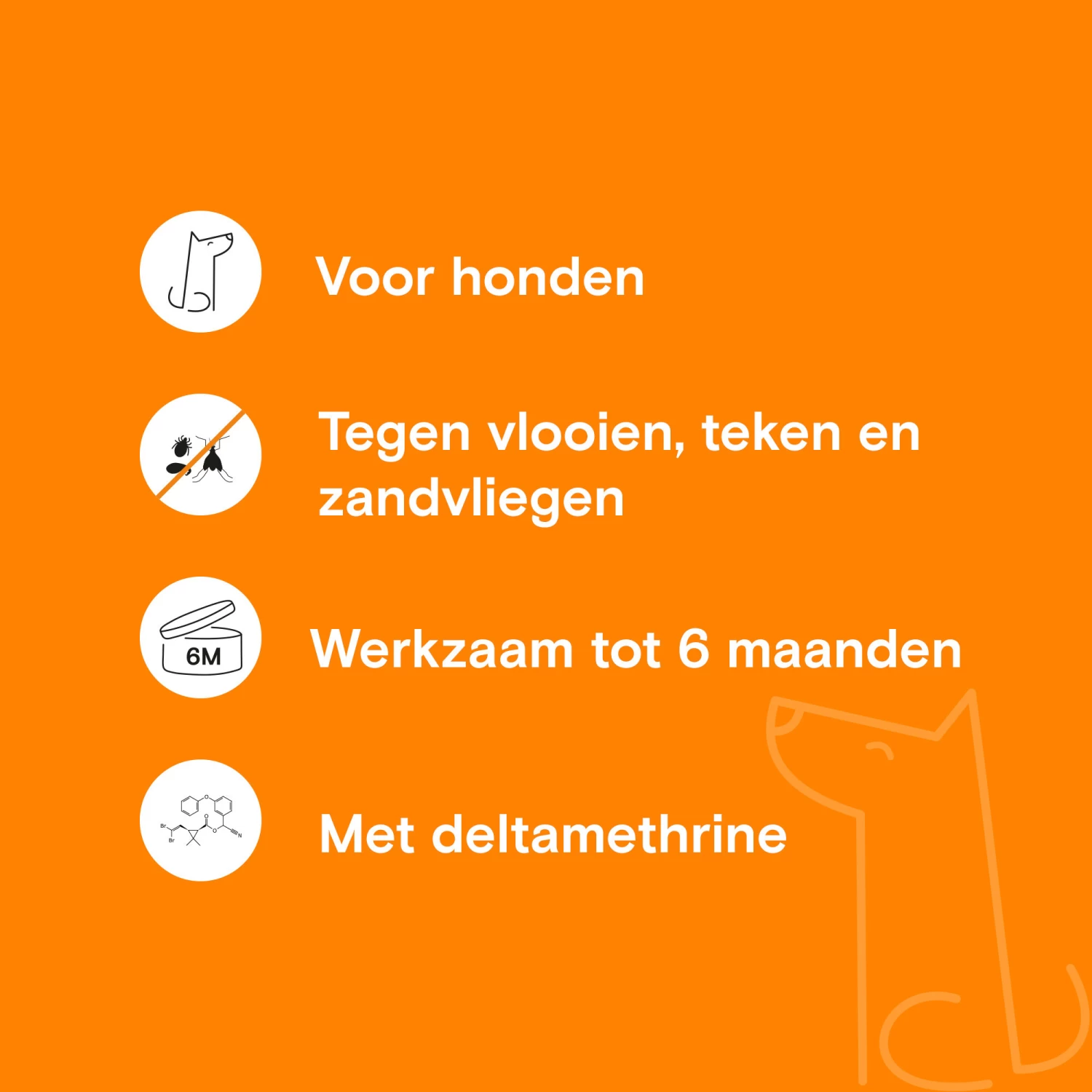 Adimere - Vlooienband - Afbeelding 4