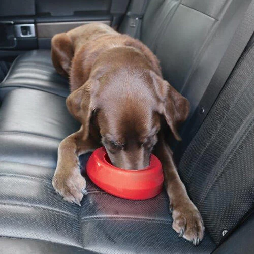 Kurgo Splash Free Wander Water Bowl - Afbeelding 7