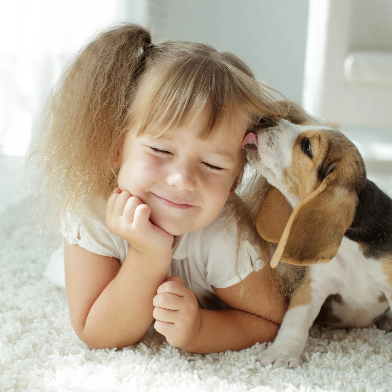 Beaphar Fiprotec Spray - Afbeelding 6