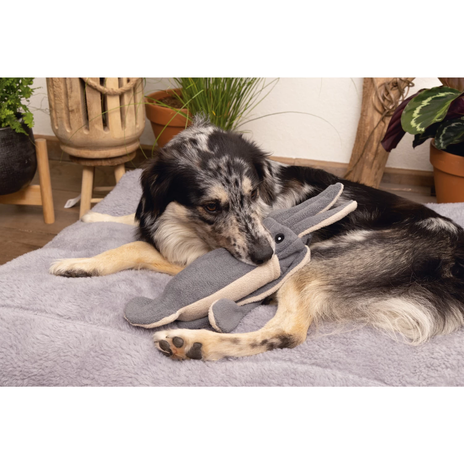 Beeztees Minus One Inktvis - Afbeelding 4