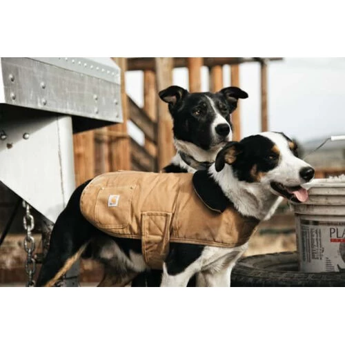 Carhartt Dog Chore Coat - Afbeelding 6
