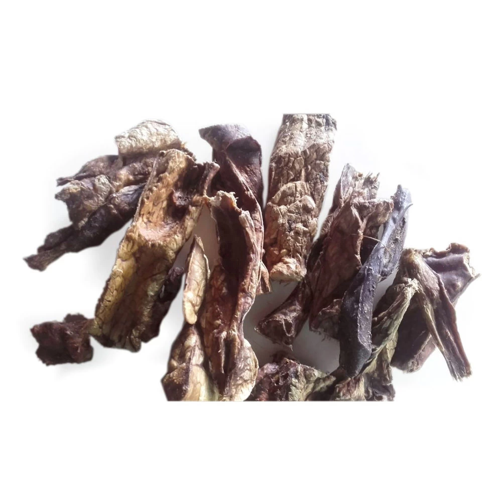 Competition Lamslongen - Afbeelding 2