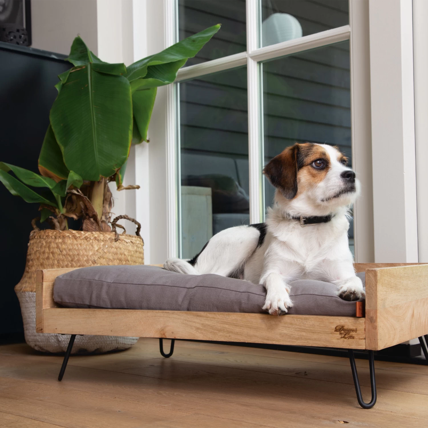 Designed By Lotte Ligmand Turana - Afbeelding 4