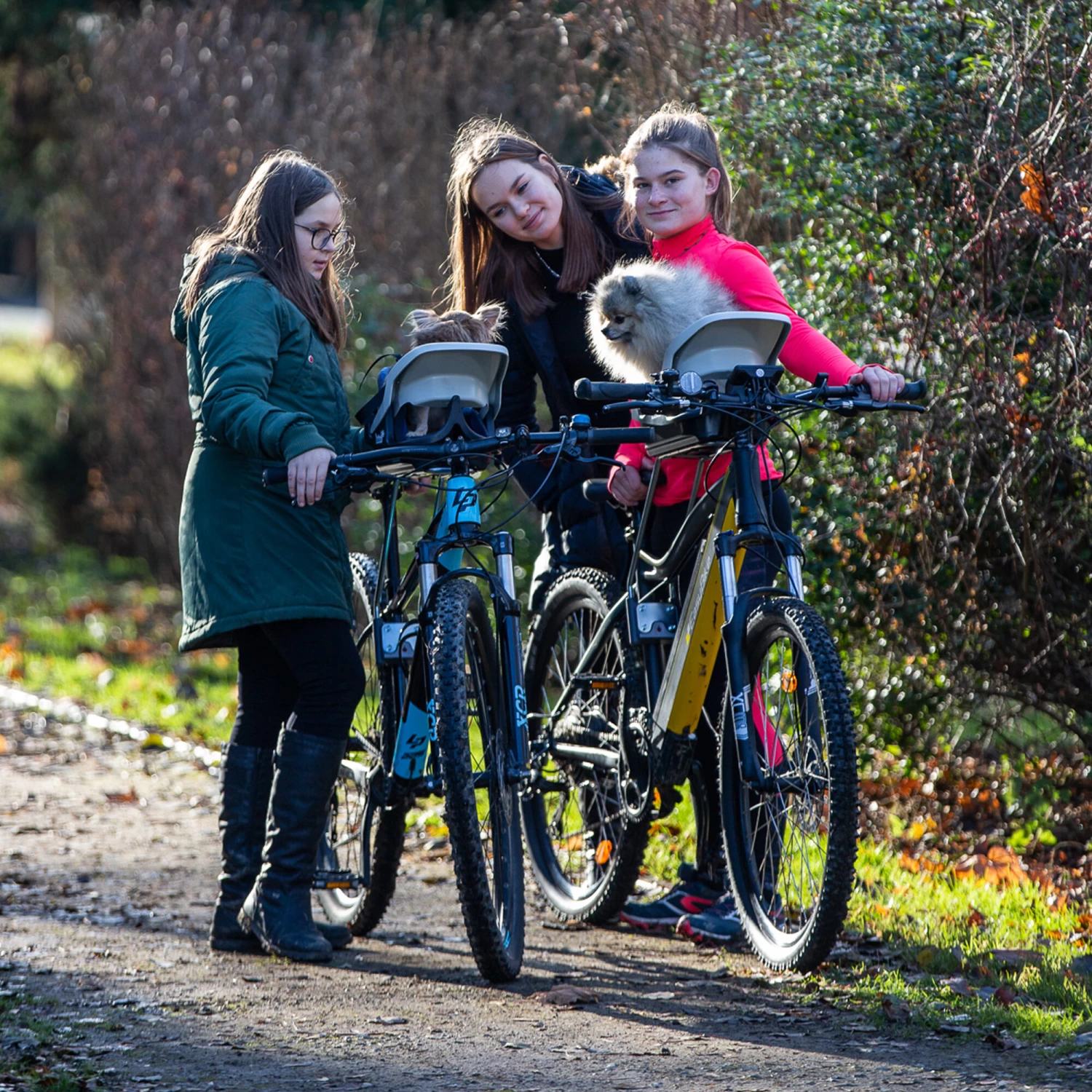 Dogrider Dog Seat + Mand - Grijs - Afbeelding 6
