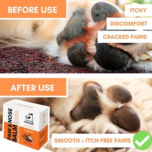 Dogslife Paw & Nose Balm - Afbeelding 5