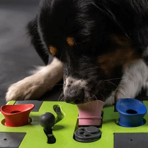 Eat Slow Live Longer Puzzle Antischrok Voerbak - Afbeelding 9