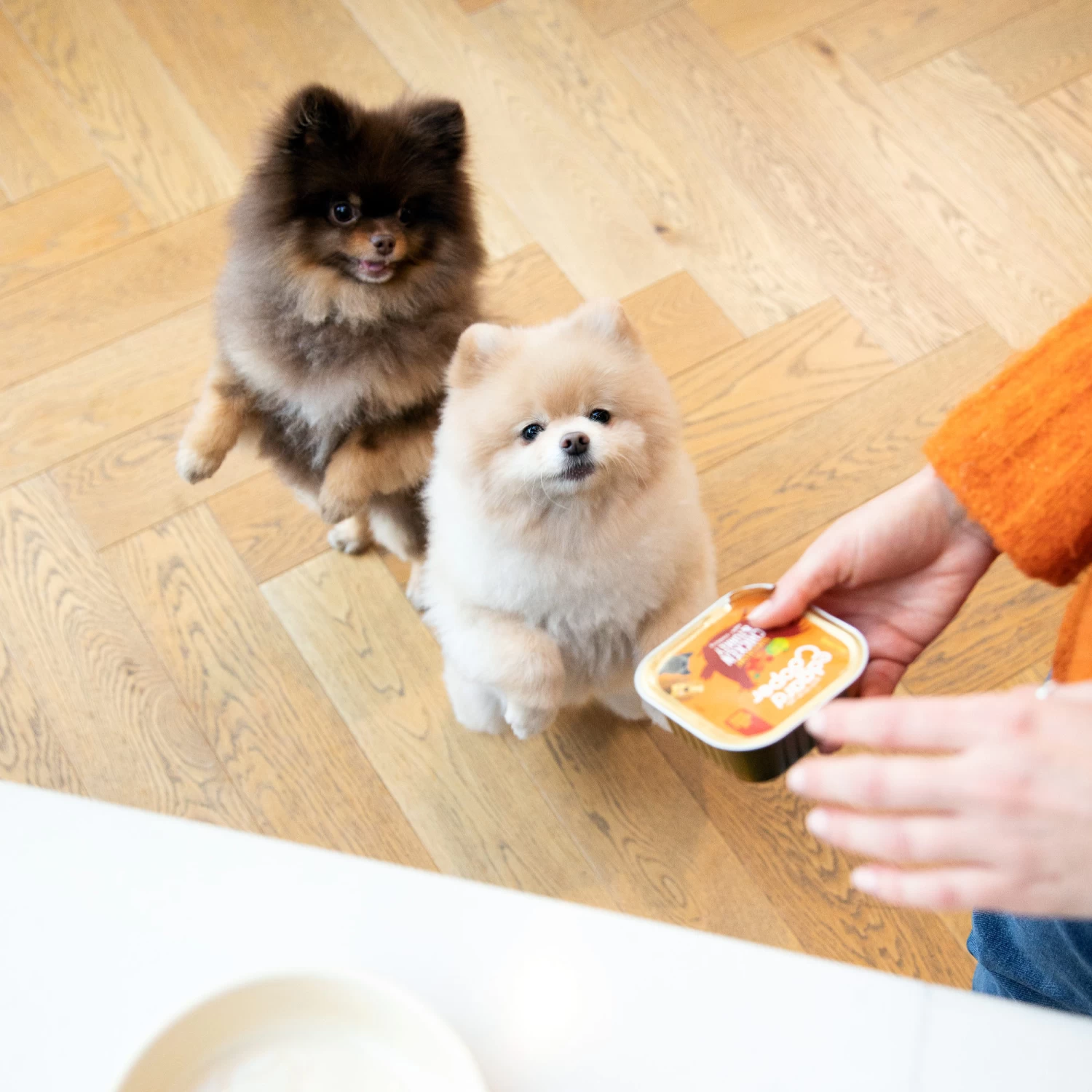 Edgard & Cooper Adult - Kip & Kalkoen - Kuipje - Afbeelding 5