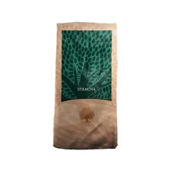 Essential Foods - Stamina