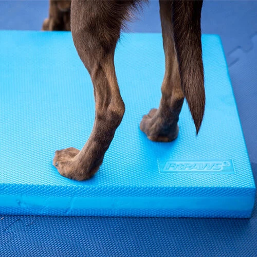 FitPAWS Balance Pad - Afbeelding 4