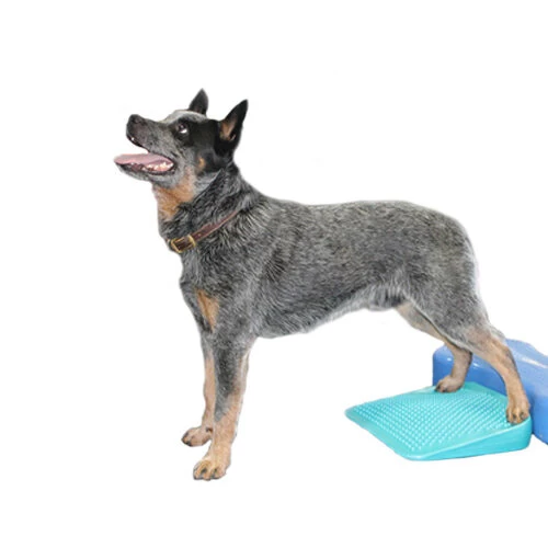 FitPAWS Balance Ramp - Afbeelding 3