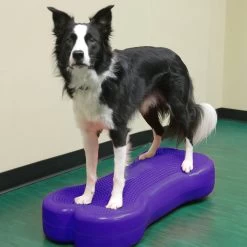 FitPAWS K9FITbone Giant