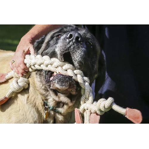 HuggleHounds Rope Knotties Monkey - Afbeelding 5