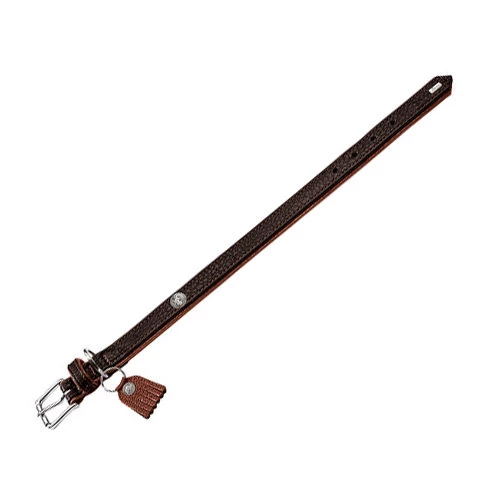 Hunter Halsband Cody - Afbeelding 8