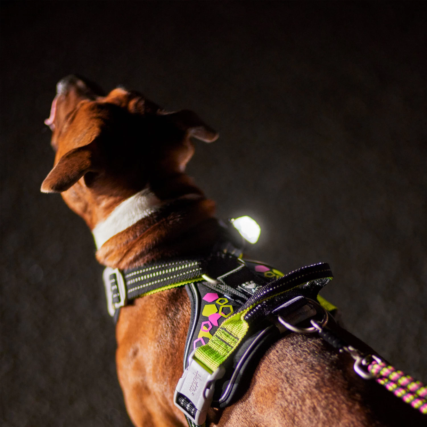 Hurtta Weekend Warrior Harnas - Neon Licorice - Afbeelding 12