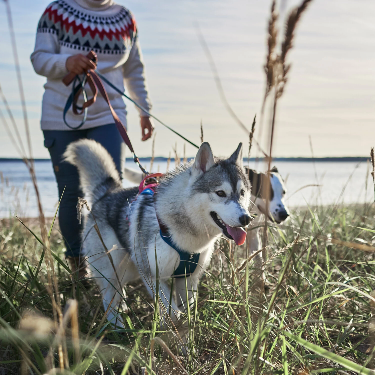 Hurtta - Weekend Warrior Winter Harnas - Bilberry - Afbeelding 12