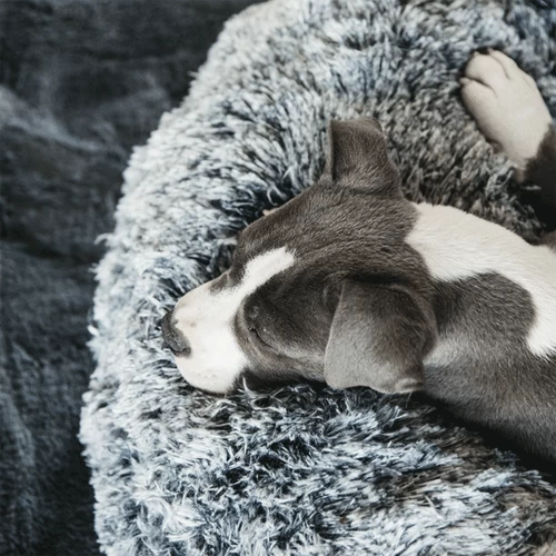 Kentucky Dogwear Comfort Donut Hondenmand - Afbeelding 10