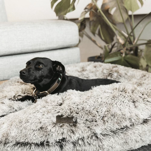 Kentucky Dogwear Comfort Donut Hondenmand - Afbeelding 11