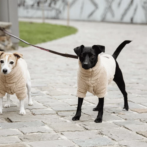 Kentucky Dogwear Hondenjas Teddy Fleece - Afbeelding 10