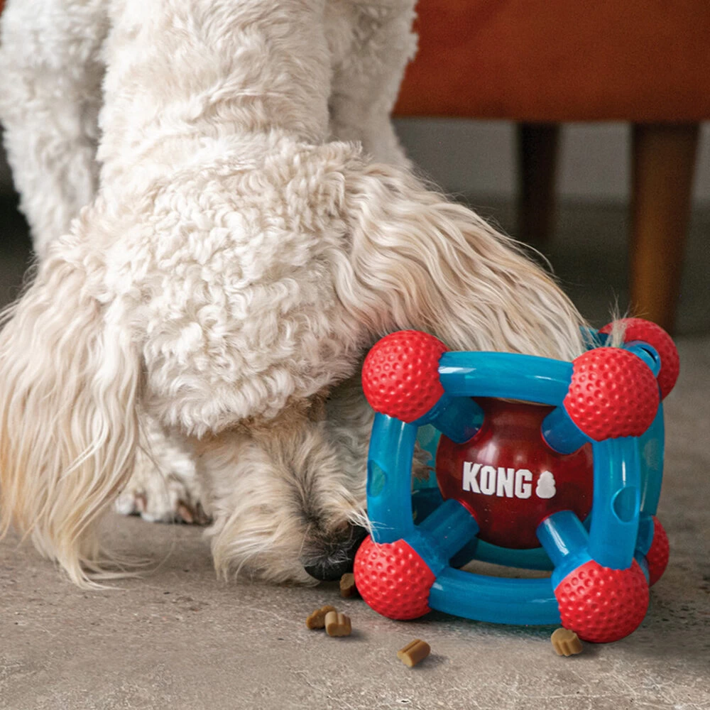 KONG Rewards Tinker - Afbeelding 5