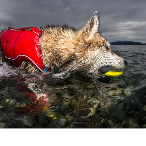 Kurgo Skipping Stones - Afbeelding 7
