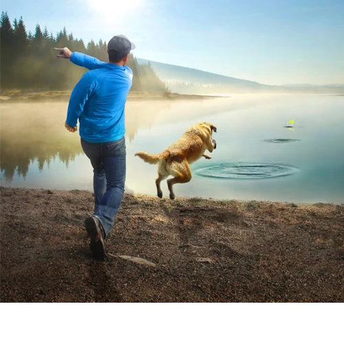 Kurgo Skipping Stones - Afbeelding 3