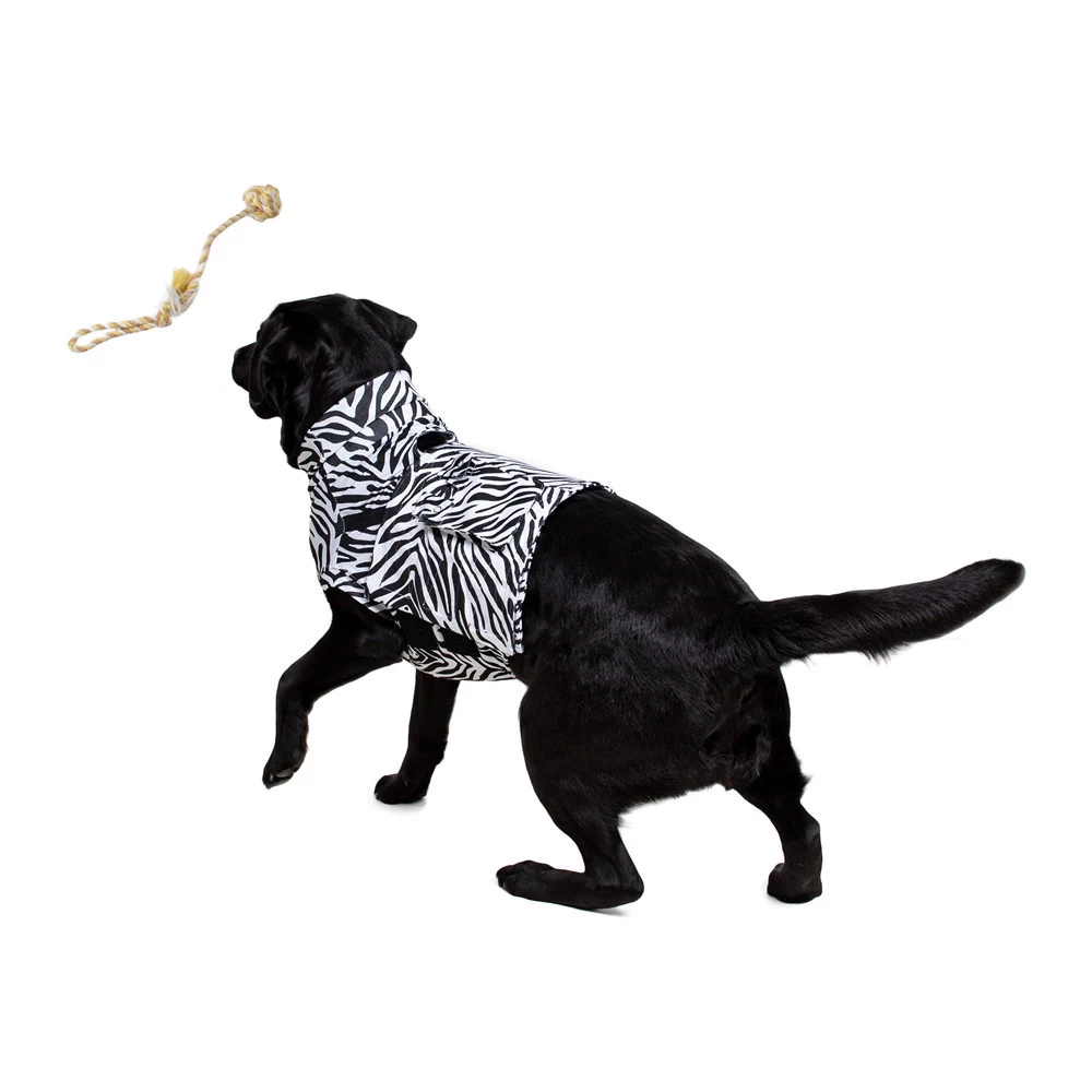 Medical Pet Top Shirt - Zebraprint - Afbeelding 8