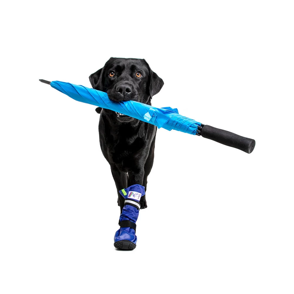 Medical Pet Shirt Boot - Afbeelding 10