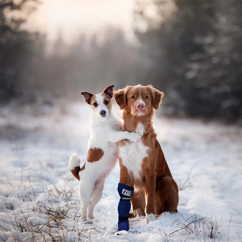 Medical Pet Shirt Boot - Afbeelding 15