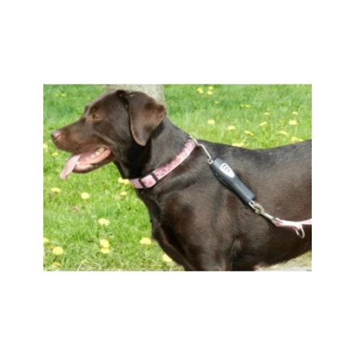 PatentoPet Dog E-walk Basic - Afbeelding 3