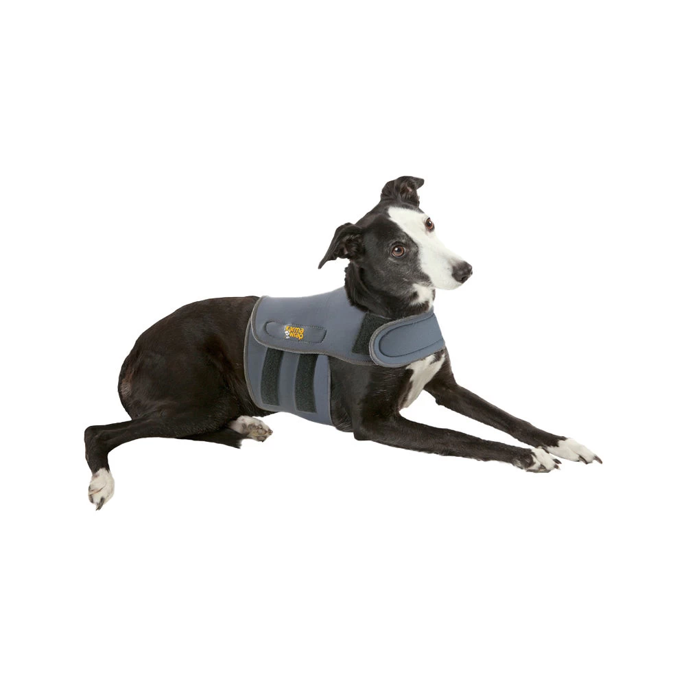 Petlife KarmaWrap Hond - Afbeelding 4