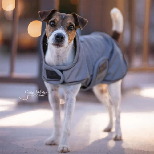 Kentucky Dog Coat Reflective & Waterrepellent - Afbeelding 9