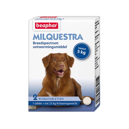 Beaphar Milquestra Hond - Afbeelding 6