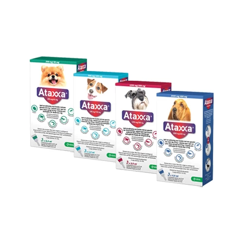 Ataxxa - Afbeelding 10