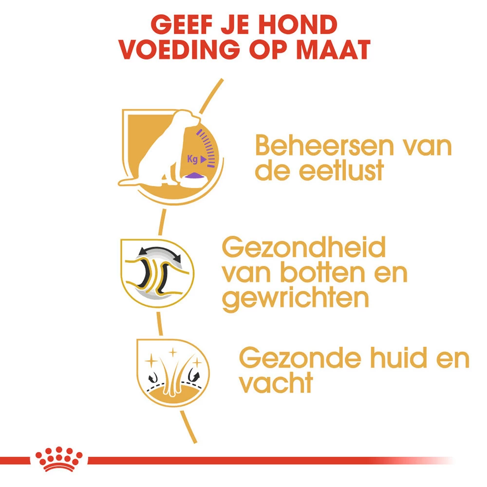 Royal Canin Labrador Retriever Sterilised Adult - Hondenvoer - Afbeelding 4