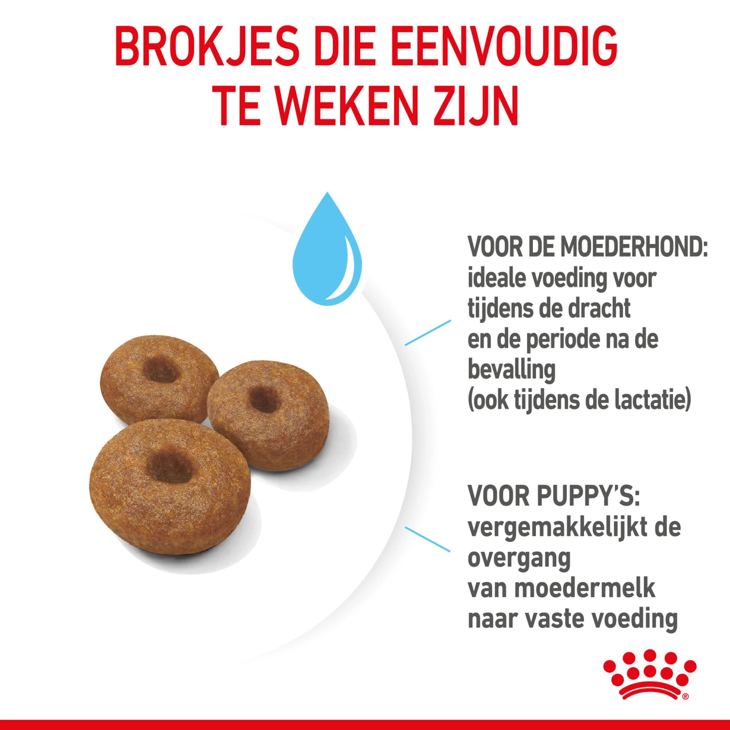 Royal Canin Maxi Starter Mother & Babydog - Hondenvoer - Afbeelding 7