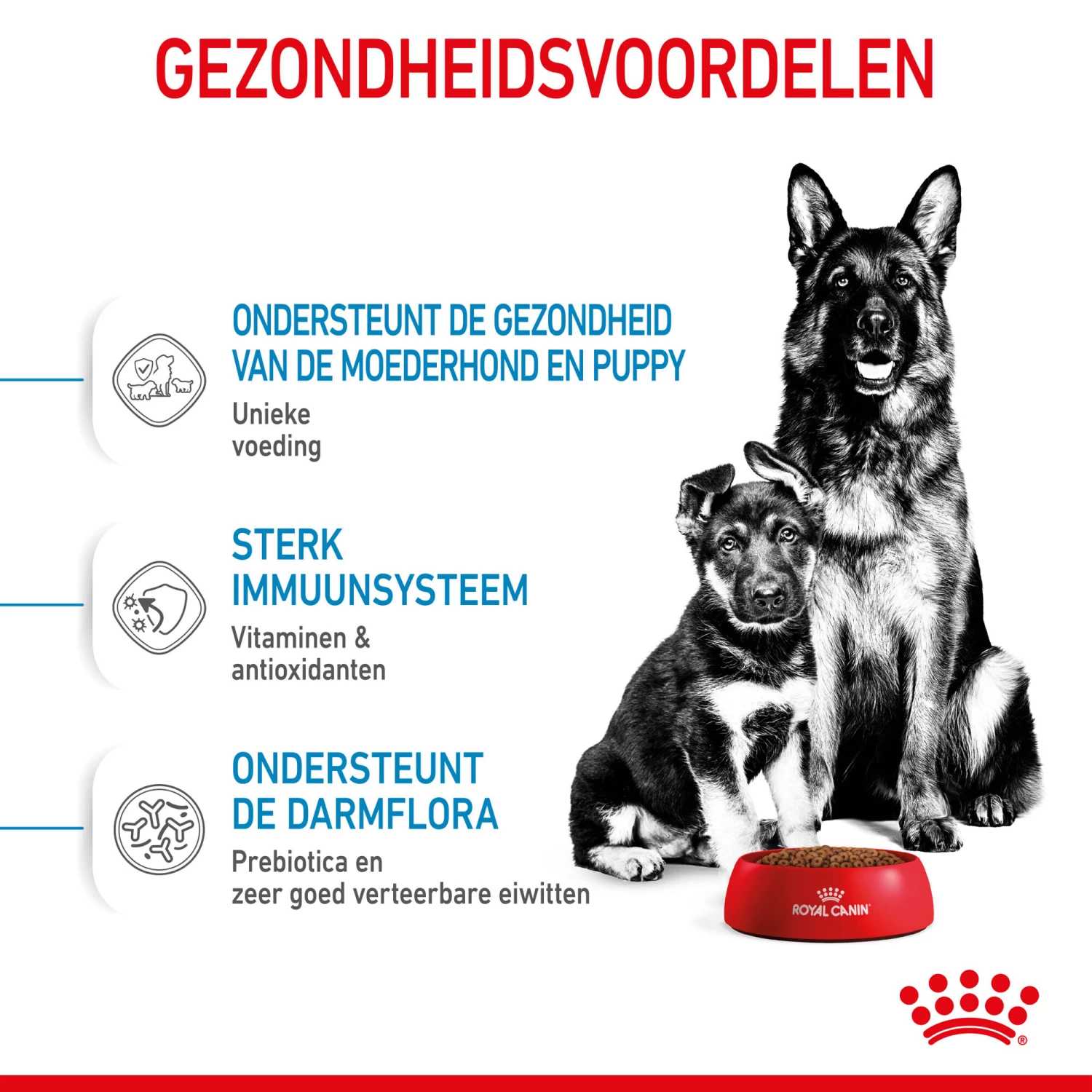 Royal Canin Maxi Starter Mother & Babydog - Hondenvoer - Afbeelding 6