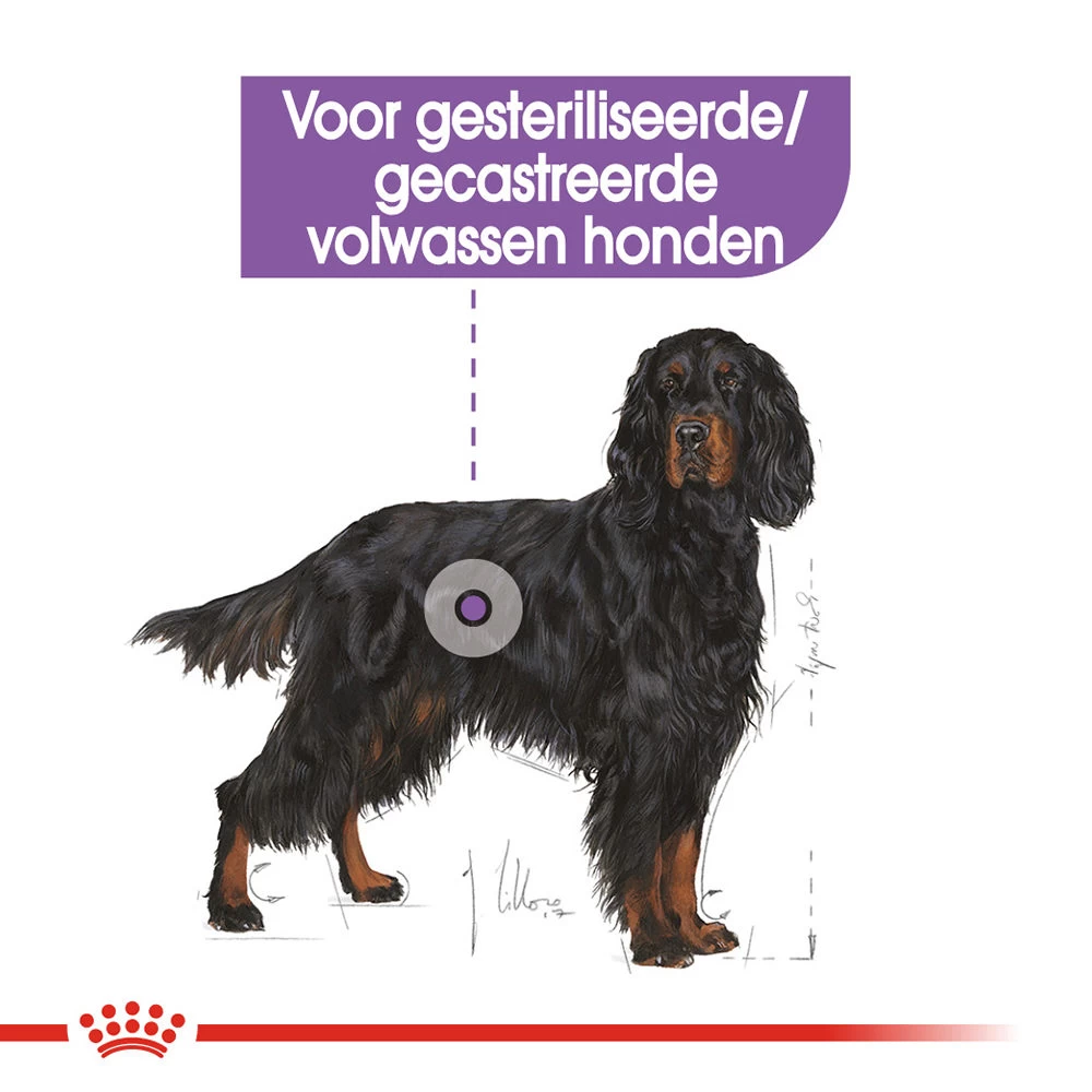Royal Canin Maxi Sterilised - Hondenvoer - Afbeelding 5