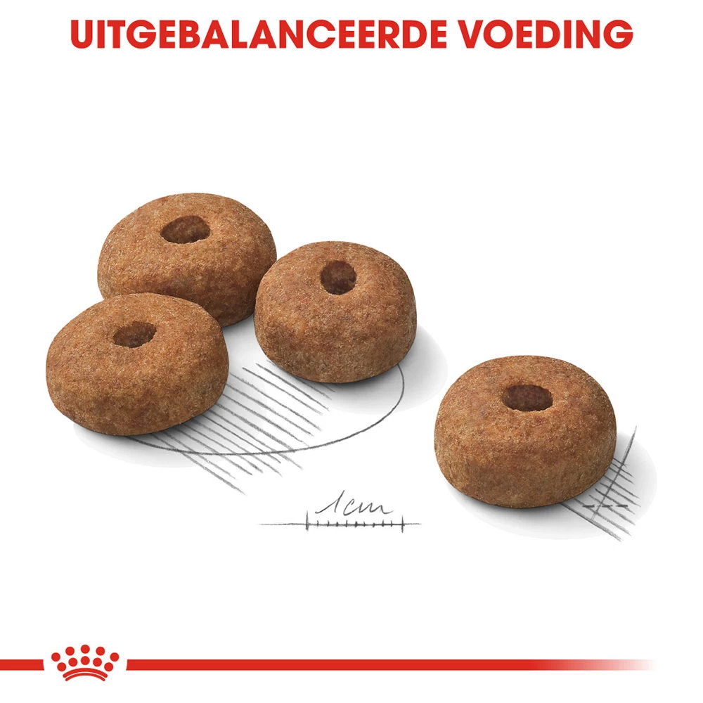 Royal Canin Maxi Sterilised - Hondenvoer - Afbeelding 6