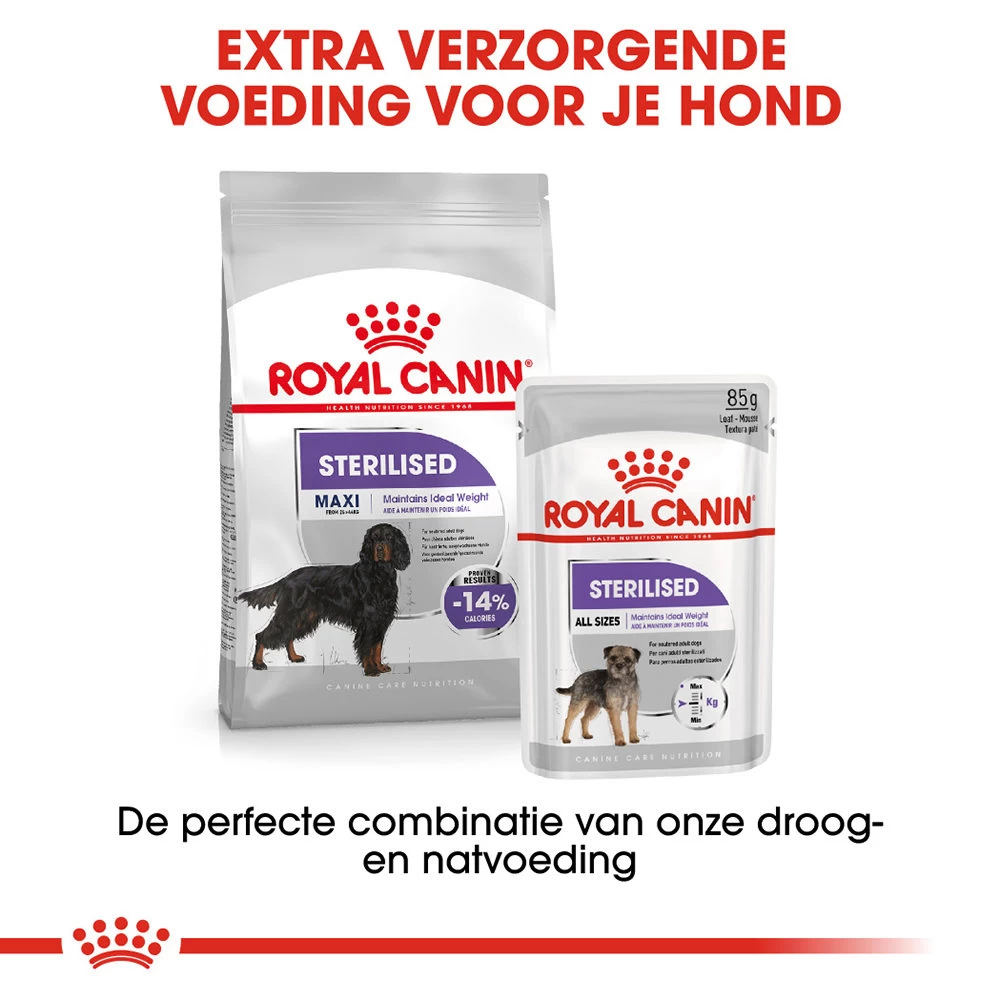 Royal Canin Maxi Sterilised - Hondenvoer - Afbeelding 9