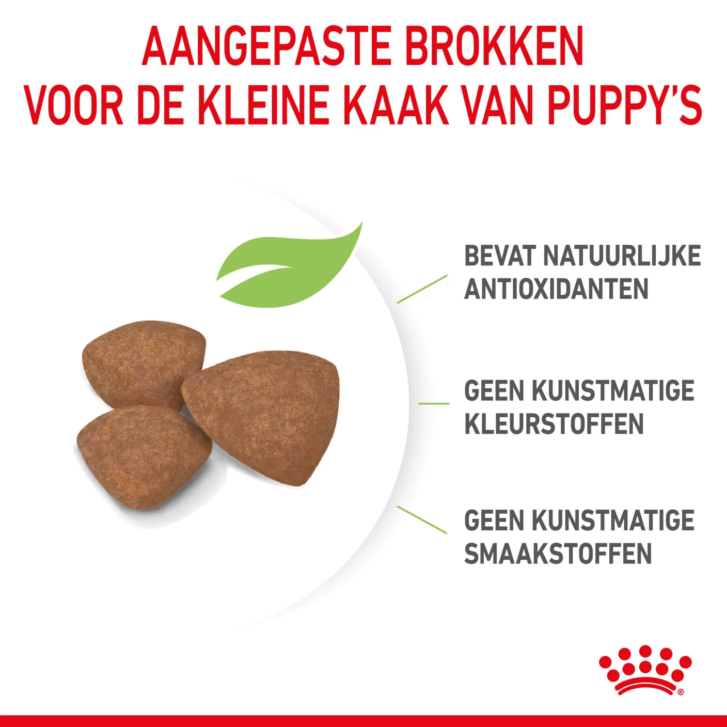 Royal Canin Mini Puppy - Hondenvoer - Afbeelding 13
