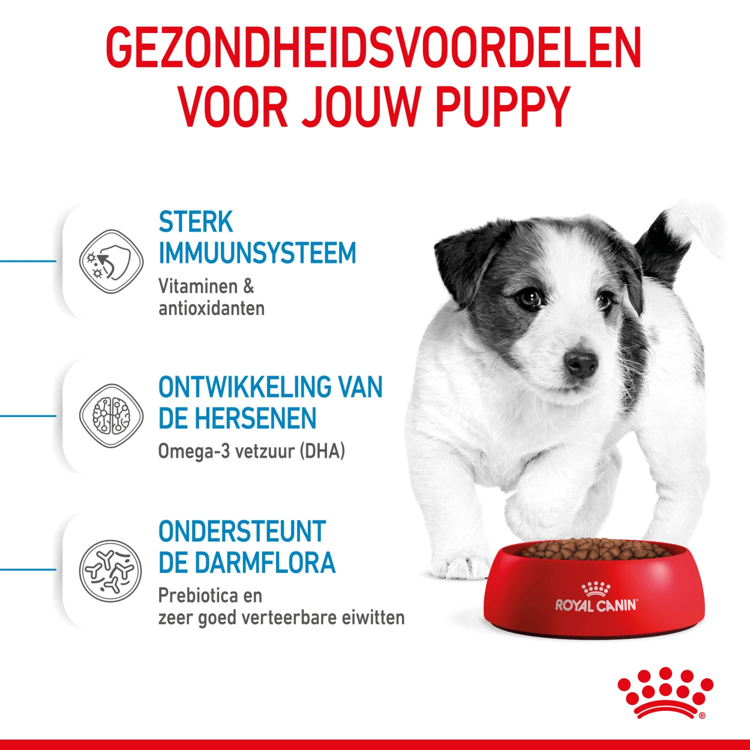 Royal Canin Mini Puppy - Hondenvoer - Afbeelding 12