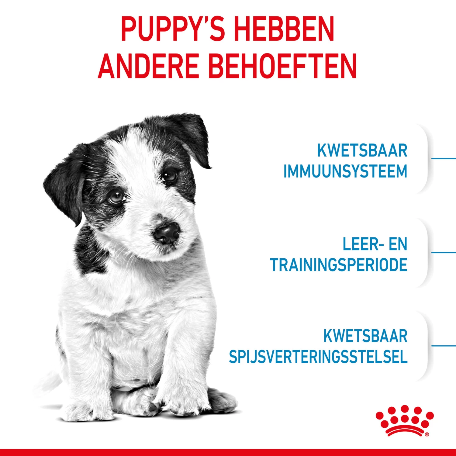 Royal Canin Mini Puppy - Hondenvoer - Afbeelding 11